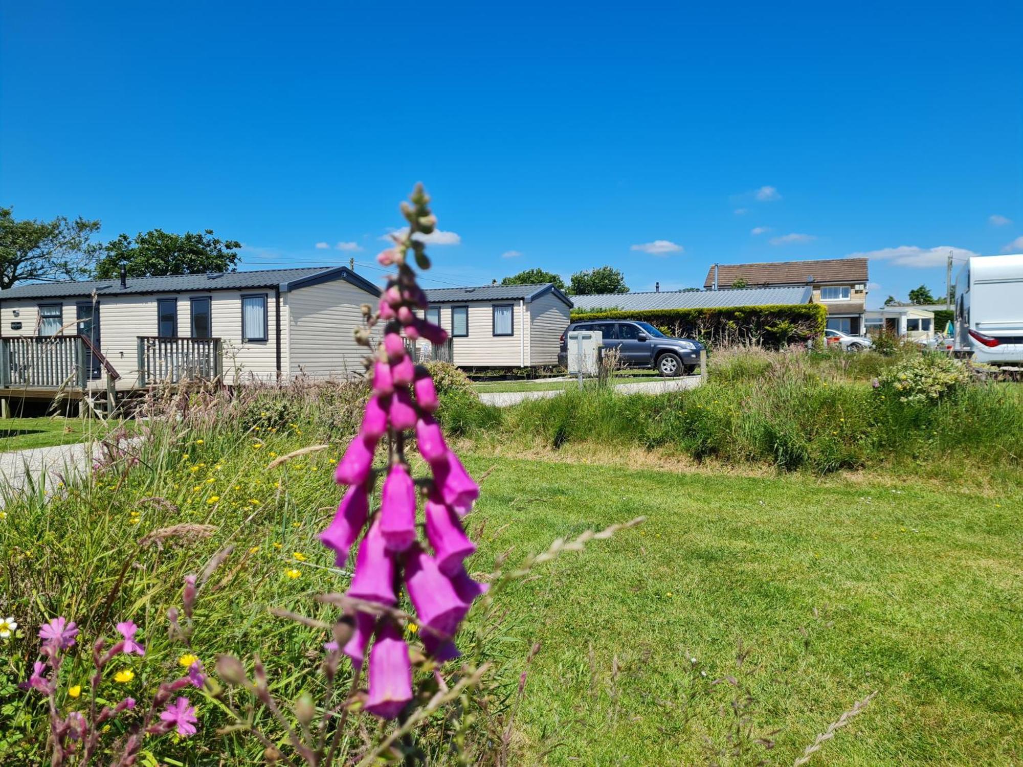 Polborder Holidays Country Park Campsite