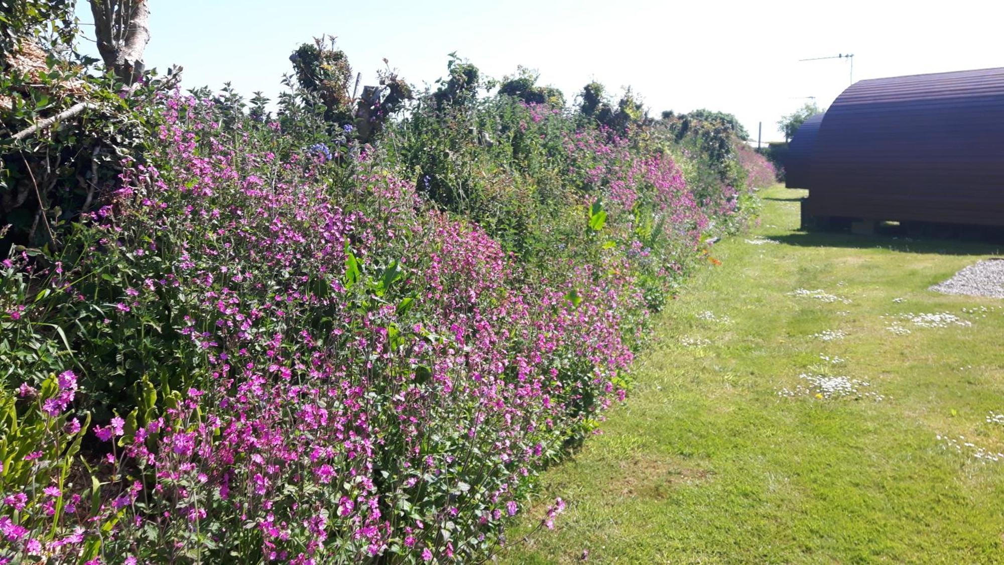 Campsite Polborder Holidays Country Park 2*